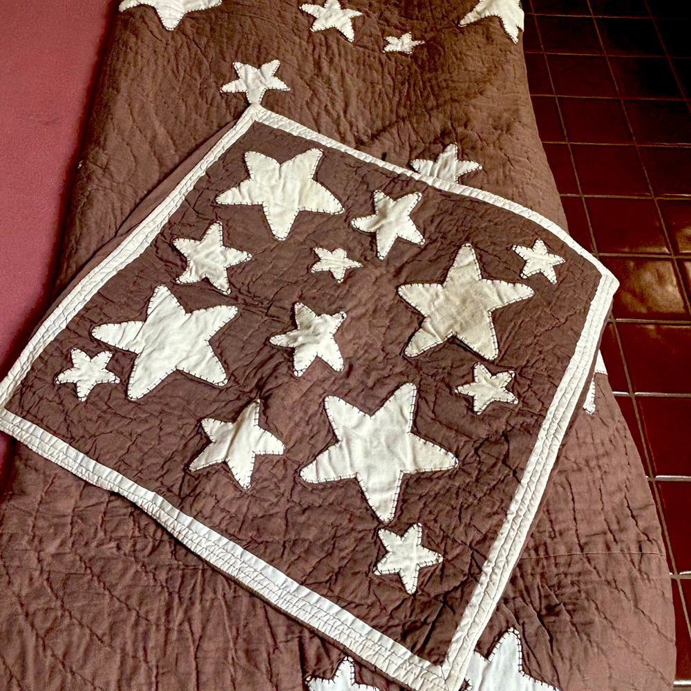 Western Pottery Barn Twin Quilt & Pillow Sham